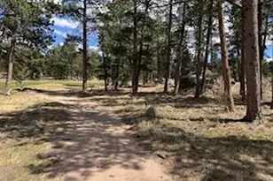 2215 Fox Acres Dr E, Red Feather Lakes, CO 80545 - Photo 37