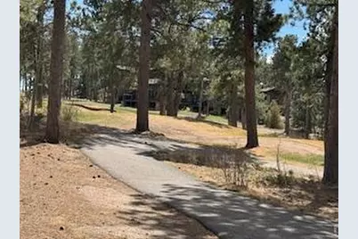 2215 Fox Acres Dr E, Red Feather Lakes, CO 80545 - Photo 33