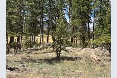 2215 Fox Acres Dr E, Red Feather Lakes, CO 80545 - Photo 19