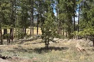 2215 Fox Acres Dr E, Red Feather Lakes, CO 80545 - Photo 19