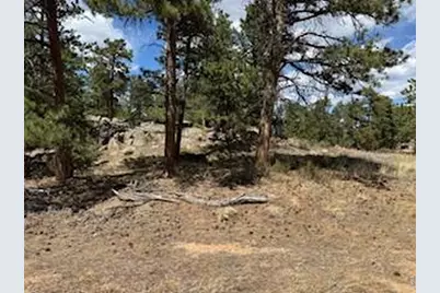 2215 Fox Acres Dr E, Red Feather Lakes, CO 80545 - Photo 15