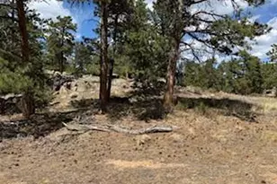2215 Fox Acres Dr E, Red Feather Lakes, CO 80545 - Photo 15