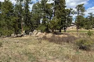 2215 Fox Acres Dr E, Red Feather Lakes, CO 80545 - Photo 21
