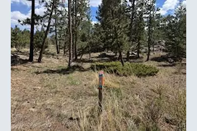 2215 Fox Acres Dr E, Red Feather Lakes, CO 80545 - Photo 29