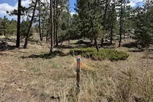 2215 Fox Acres Dr E, Red Feather Lakes, CO 80545 - Photo 29