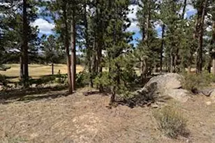 2215 Fox Acres Dr E, Red Feather Lakes, CO 80545 - Photo 27