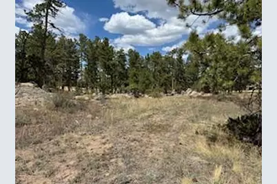 2215 Fox Acres Dr E, Red Feather Lakes, CO 80545 - Photo 17