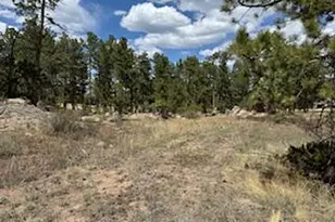 2215 Fox Acres Dr E, Red Feather Lakes, CO 80545 - Photo 17