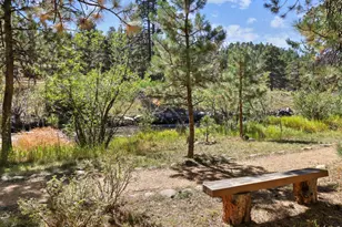 624 Park River Pl, Estes Park, CO 80517 - Photo 39