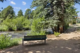 624 Park River Pl, Estes Park, CO 80517 - Photo 37