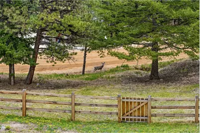 101 Canon View Rd, Boulder, CO 80302 - Photo 45