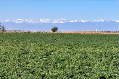 County Road 66, Greeley, CO 80631 - Photo 17