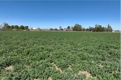 County Road 66, Greeley, CO 80631 - Photo 19