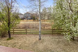 1527 French Ct, Erie, CO 80516 - Photo 37