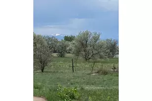 9735 Co Rd 7, Longmont, CO 80504 - Photo 3
