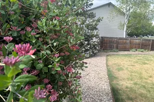 1044 Blue Spruce Dr, Loveland, CO 80538 - Photo 23