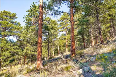 695 Cutter Ln, Boulder, CO 80302 - Photo 5