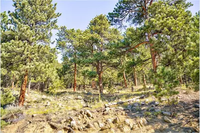 695 Cutter Ln, Boulder, CO 80302 - Photo 3