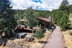 27033 Thea Gulch Rd, Golden, CO 80403 - Photo 3