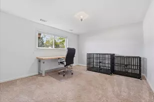 981 Nantucket St, Windsor, CO 80550 - Photo 19