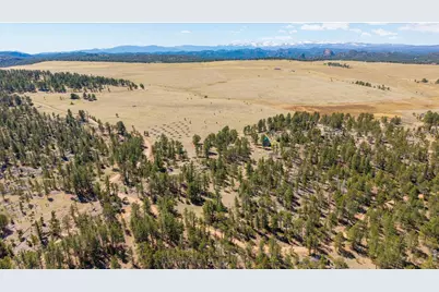 255 Elk Park Rd, Livermore, CO 80536 - Photo 5