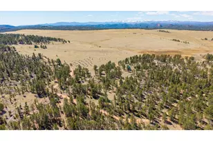 255 Elk Park Rd, Livermore, CO 80536 - Photo 5