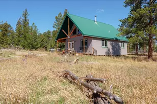 255 Elk Park Rd, Livermore, CO 80536 - Photo 9