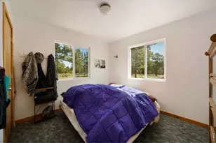 255 Elk Park Rd, Livermore, CO 80536 - Photo 19