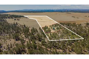 255 Elk Park Rd, Livermore, CO 80536 - Photo 37