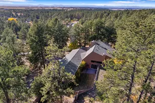 10691 Tomichi Dr, Franktown, CO 80116 - Photo 45