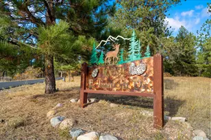 10691 Tomichi Dr, Franktown, CO 80116 - Photo 3