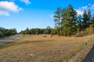10691 Tomichi Dr, Franktown, CO 80116 - Photo 49