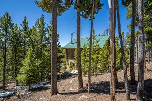 1732 Jicarilla Trail, Red Feather Lakes, CO 80545 - Photo 41