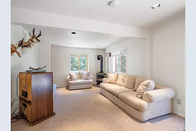 1732 Jicarilla Trl, Red Feather Lakes, CO 80545 - Photo 29