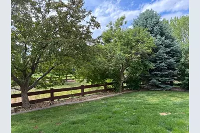 2036 Vineyard Ct, Windsor, CO 80550 - Photo 41