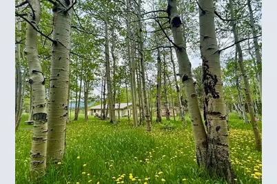 1746 Lump Gulch Rd, Black Hawk, CO 80422 - Photo 23