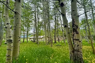 1746 Lump Gulch Rd, Black Hawk, CO 80422 - Photo 23