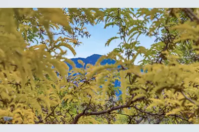 2663 Grapewood Ln, Boulder, CO 80304 - Photo 31