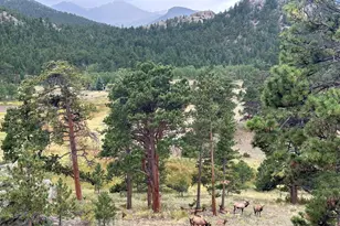 3495 St Francis Way, Estes Park, CO 80517 - Photo 49