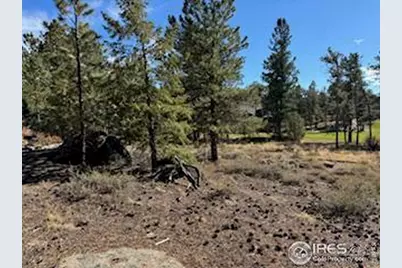 2921 Fox Acres Dr E, Red Feather Lakes, CO 80545 - Photo 17