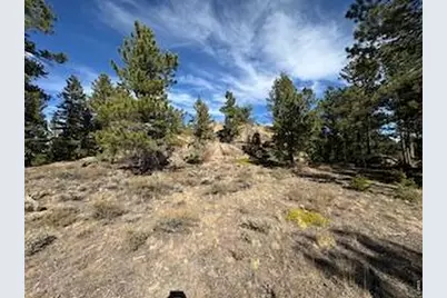 2921 Fox Acres Dr E, Red Feather Lakes, CO 80545 - Photo 23