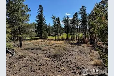 2921 Fox Acres Dr E, Red Feather Lakes, CO 80545 - Photo 19