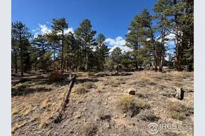 2921 Fox Acres Dr E, Red Feather Lakes, CO 80545 - Photo 9