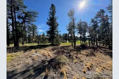 2921 Fox Acres Dr E, Red Feather Lakes, CO 80545 - Photo 13