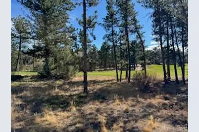 2921 Fox Acres Dr E, Red Feather Lakes, CO 80545 - Photo 5