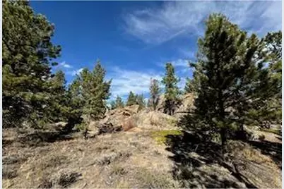 2921 Fox Acres Dr E, Red Feather Lakes, CO 80545 - Photo 7