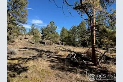 2921 Fox Acres Dr E, Red Feather Lakes, CO 80545 - Photo 21