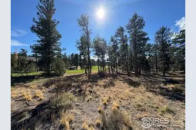 2921 Fox Acres Dr E, Red Feather Lakes, CO 80545 - Photo 11