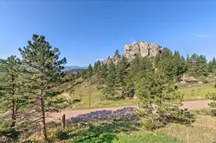 274 Iron Mountain Dr, Livermore, CO 80536 - Photo 43