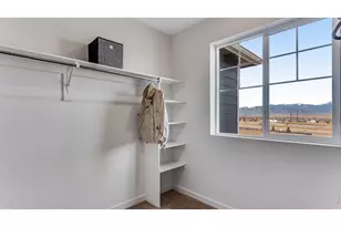 1101 Trilling Dr, Windsor, CO 80550 - Photo 45